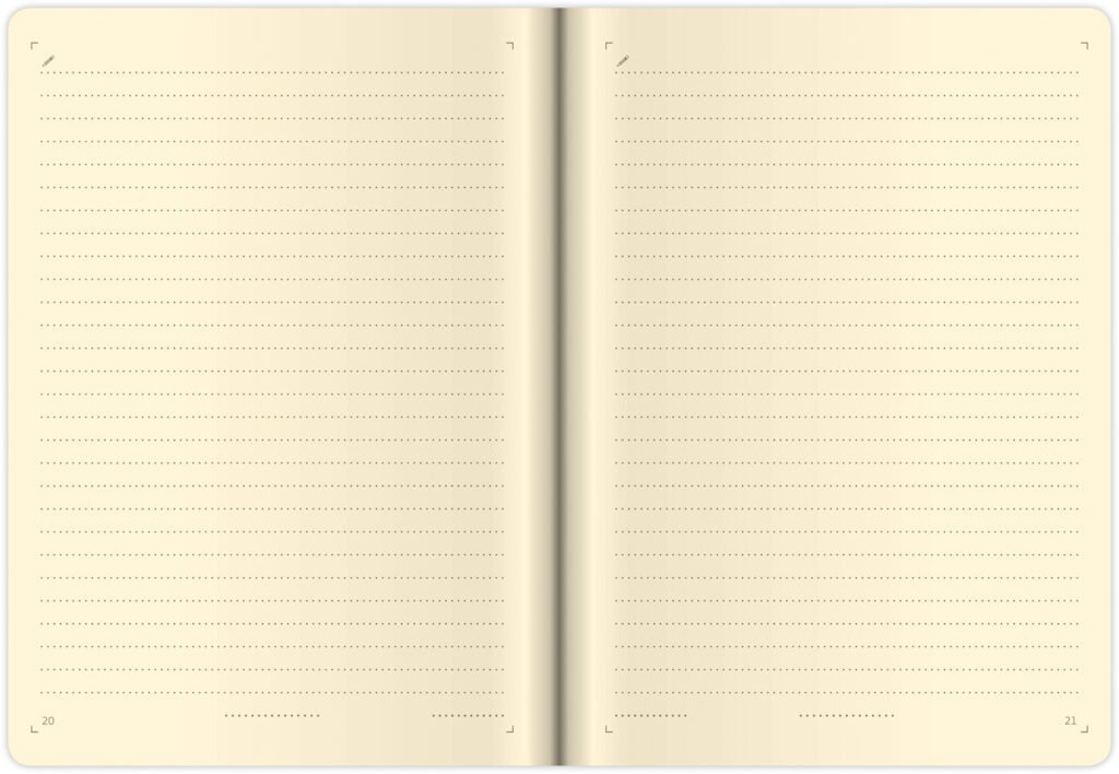 Notebooks - Notebook Flip M lined blue/white