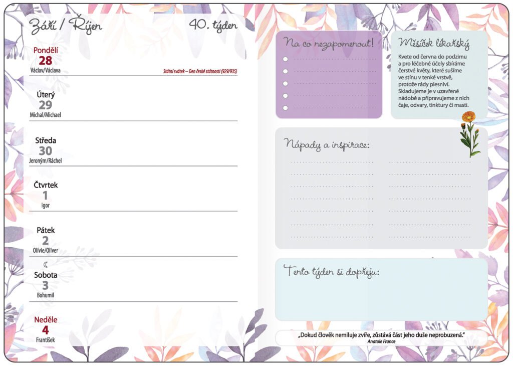 BYLINKOVÝ DIÁŘ - Týdenní diář B6 Bylinkový Herbs s gumičkou