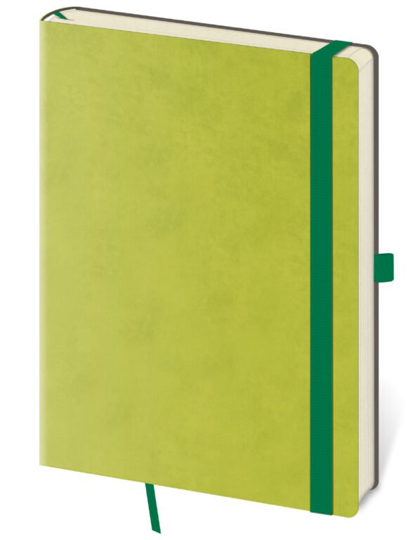 Notebook Flexies L lined Petrol Light Green