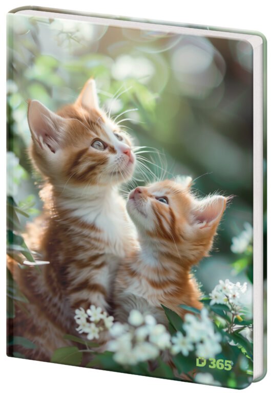 Notebooks - Notebook for Children - Tabby