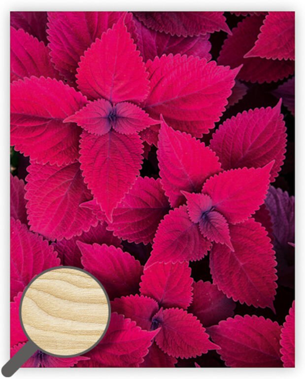 Dřevěný obraz Leaves