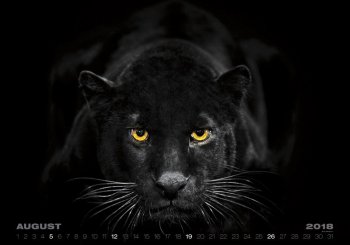 Krátký seznam našich tipů pro podzimní nákupy