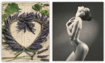 Ložnice je místem, kam za vámi stres nemůže. A obrazy pomáhají relaxovat!